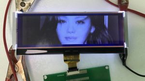212 ایکس 64 پکسلز مونوکروم گرافک LCD